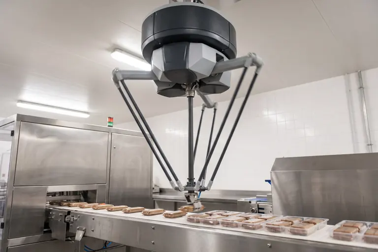 A ceiling-mounted delta industrial robot picking wrapped bars from a fast conveyor into trays in a stainless steel food packing hall