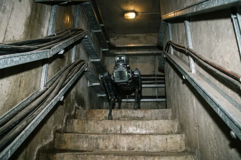 A four-legged inspection robot walking down concrete steps into a dim cable basement lined with cable trays.