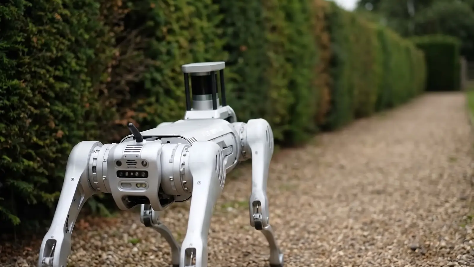 AI-generated illustration: close view of a quadruped patrol robot with its LiDAR sensor head walking beside a hedge line