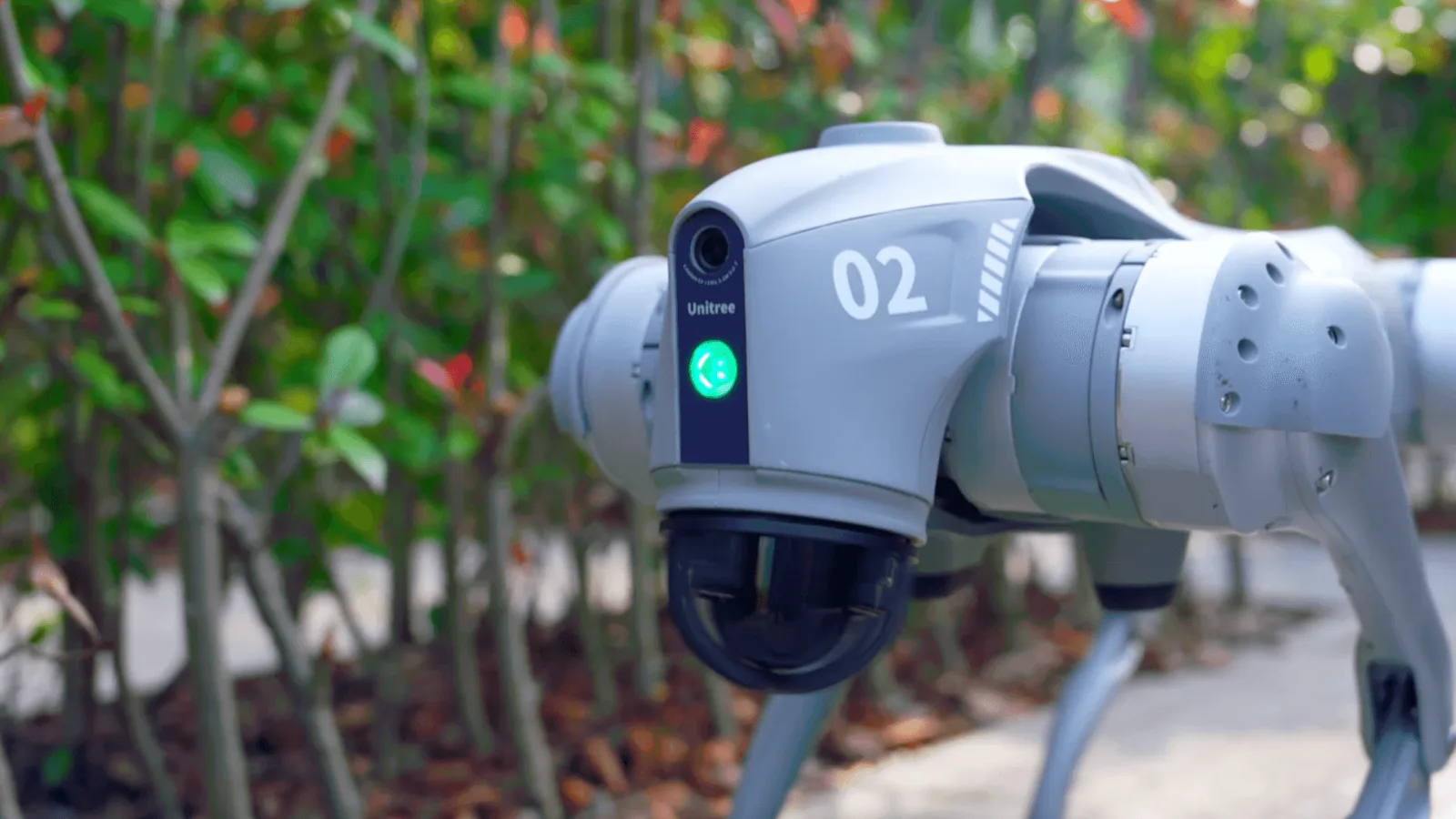 Close view of a quadruped patrol robot with a gimbal camera walking beside a hedge line
